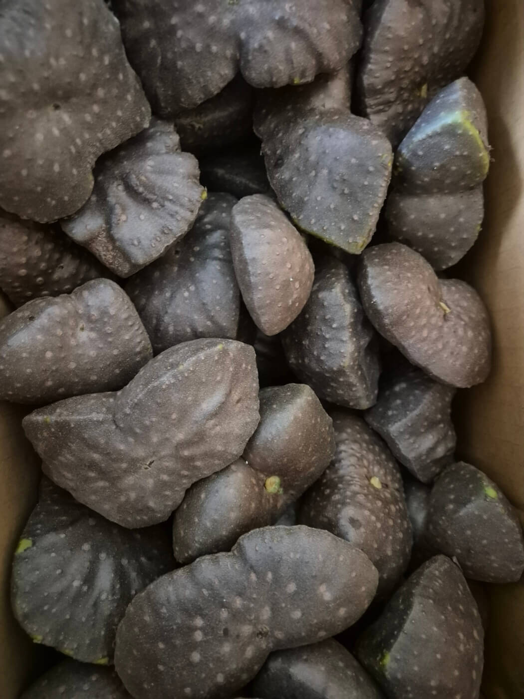 하늘마 효능 먹는 방법 보관방법 부작용