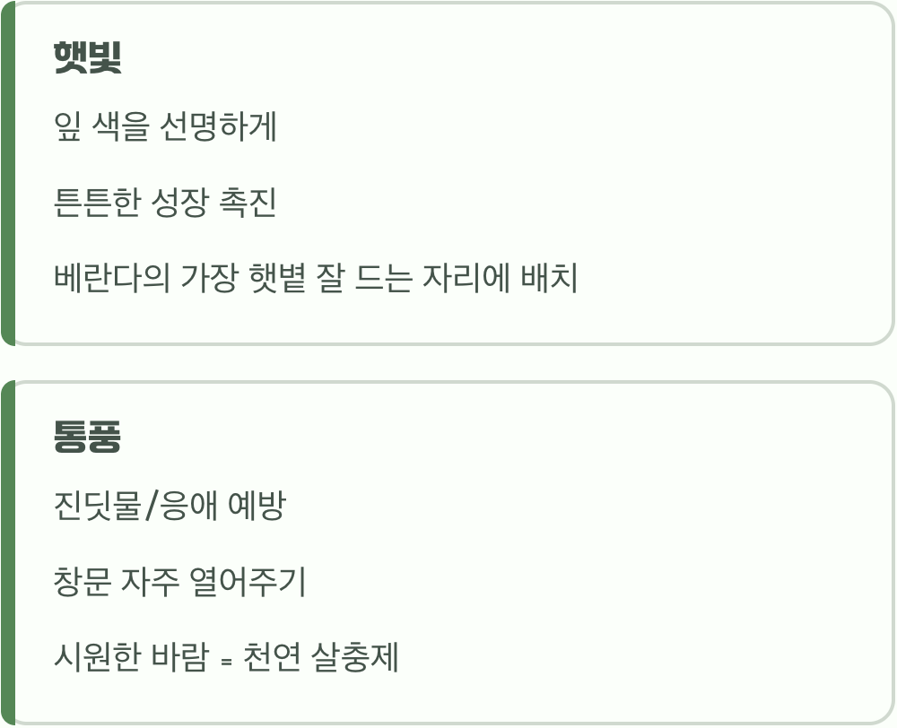 햇살과 바람, 최고의 보약