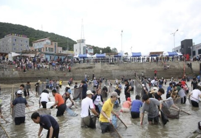 삼길포우럭축제