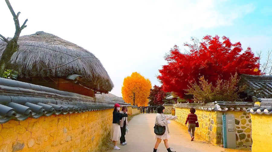 안동 하회마을, 한옥과 초가가 살아 있는 &lsquo;역사 마을&rsquo;
