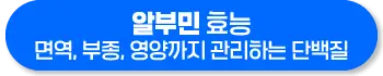 알부민 효능 효과