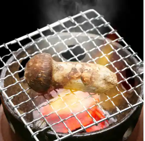 송이버섯 가격 및 효능 효과 먹는방법