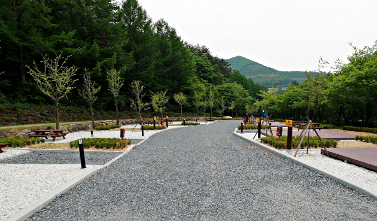 태백고원 자연휴양림