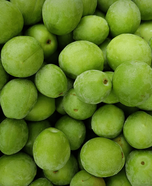 장염에 좋은 음식 사진 - 113