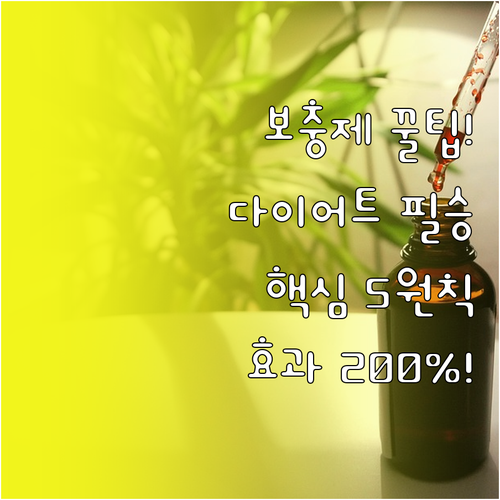 성공적인 다이어트를 위한 보충제 섭취..