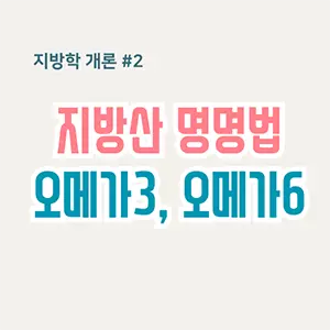지방산-명명법-오메가3-오메가6