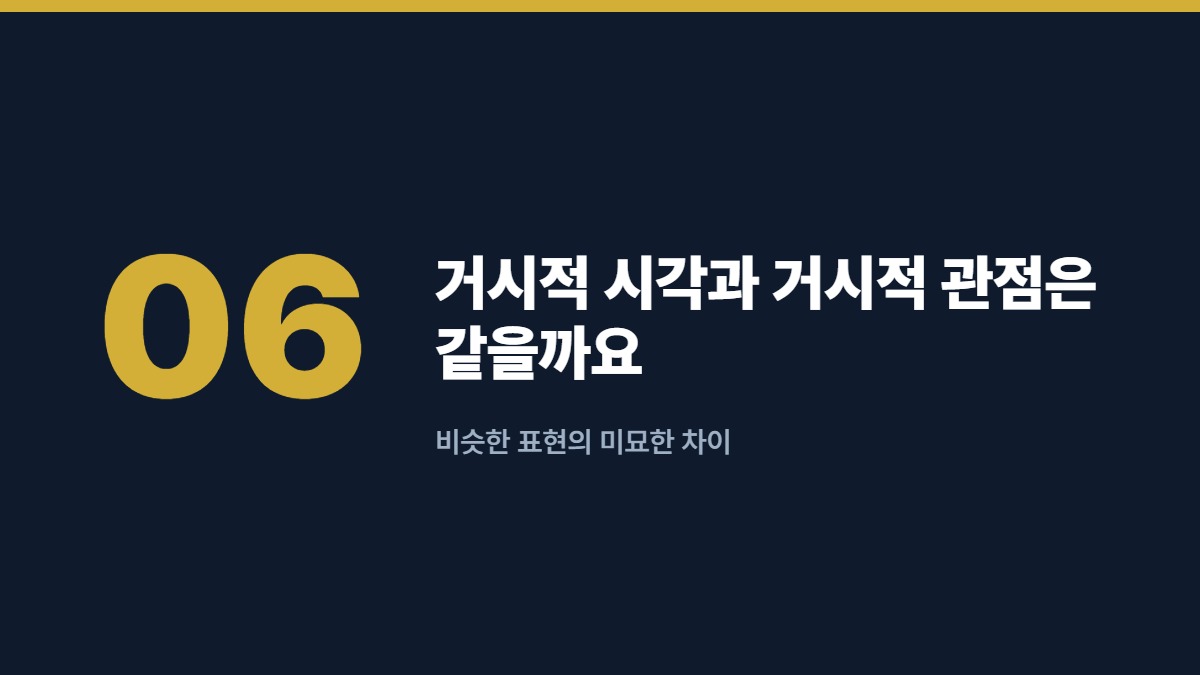 거시적 시각과 거시적 관점은 같을까요 — 비슷한 표현의 미묘한 차이