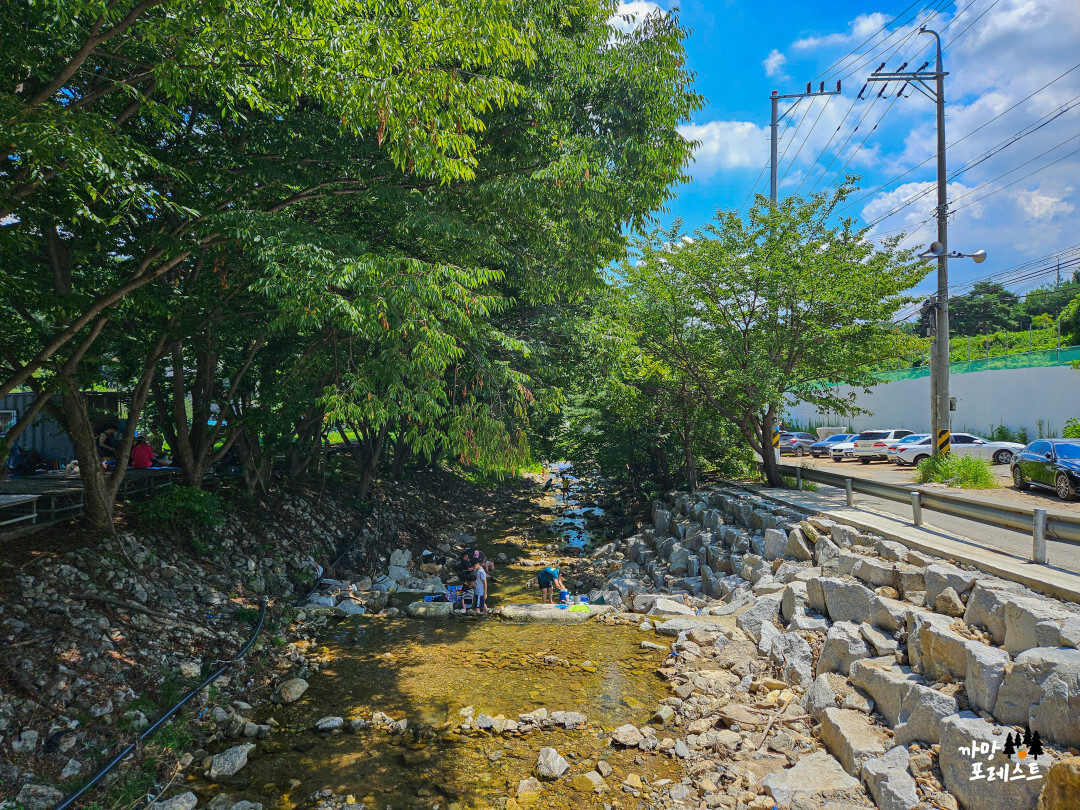 용인 고기리 계곡