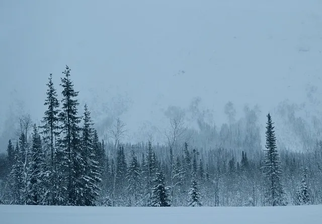오키나와 비행시간 인천 부산 인천공항 기준 안내_3