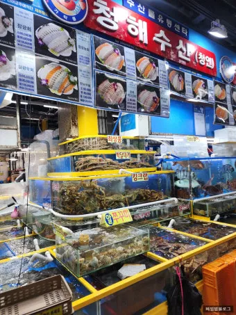 가락시장 맛집 회센터 수산시장 꽃게_7