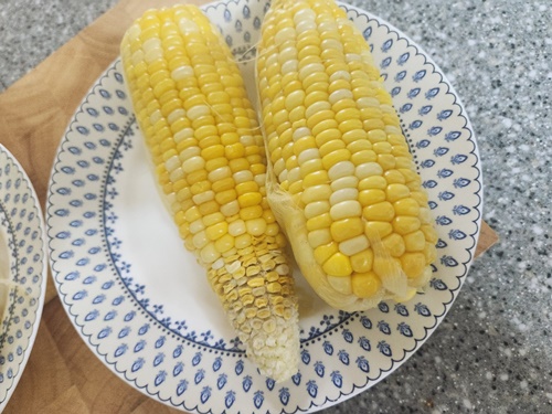 초당옥수수 전자레인지 찌는법 보관법 냉동 초당옥수수 먹는법