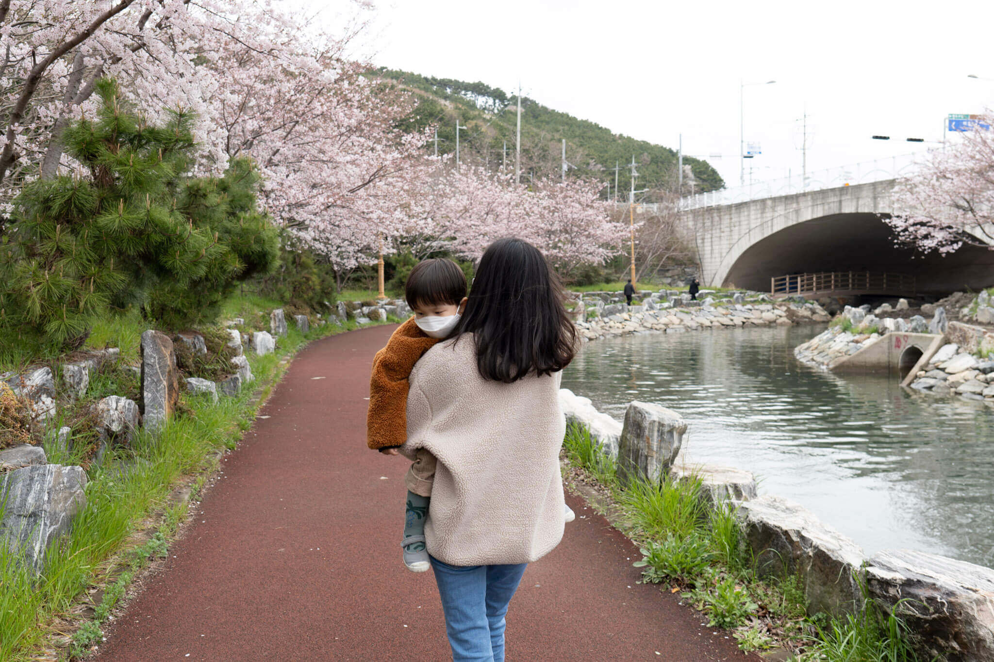 2024벚꽃축제일정 벚꽃개화시기