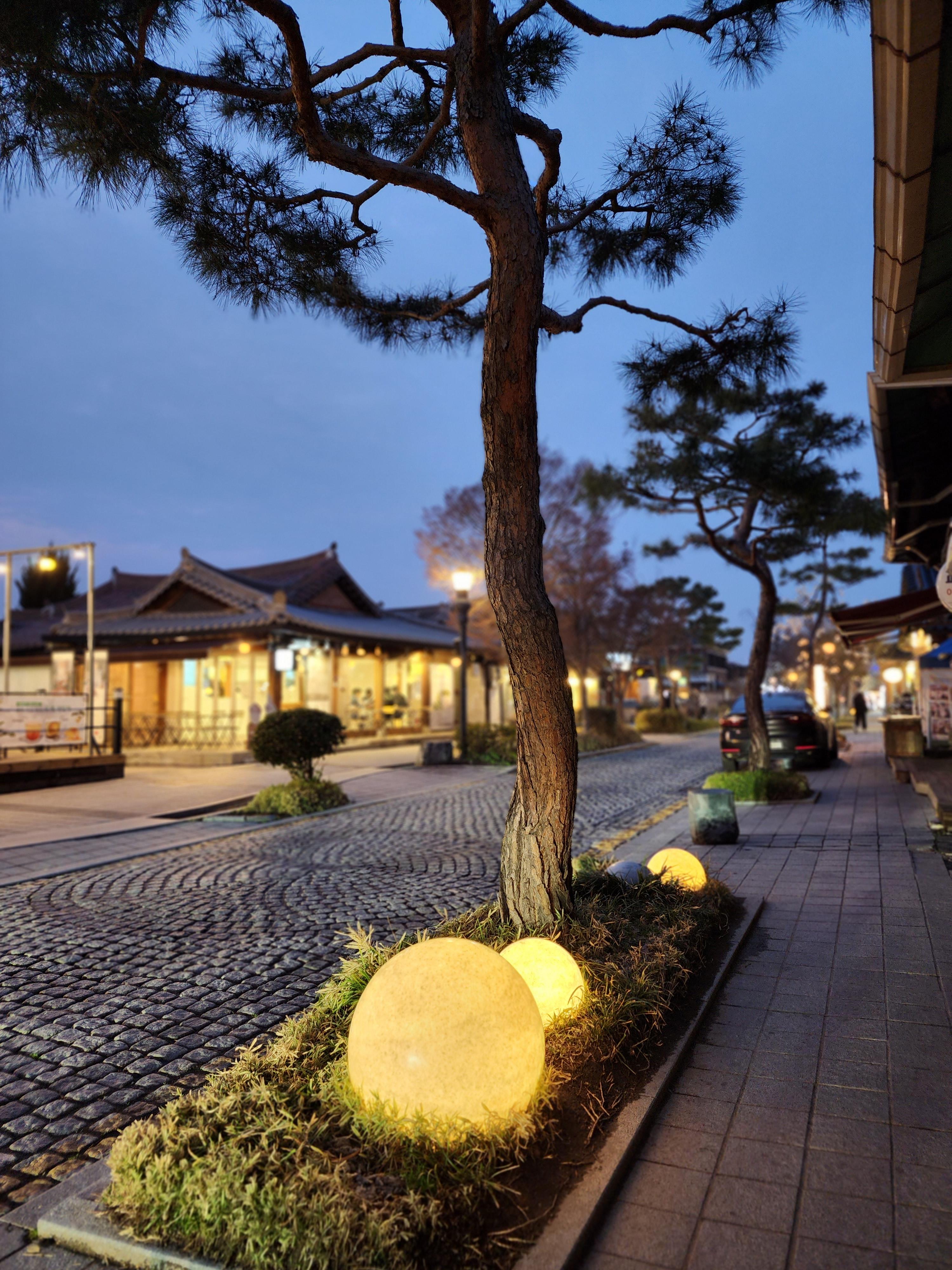 전주 애견동반 갈만한곳