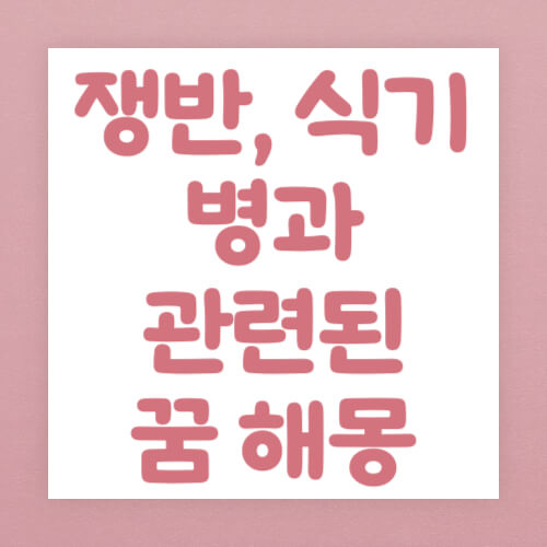 쟁반, 식기, 병과 관련된 꿈 해몽 썸네일