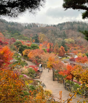 화담숲예약하기