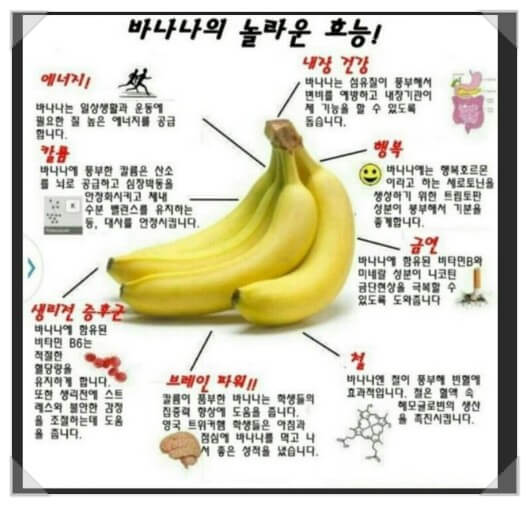 바나나 수입 효능