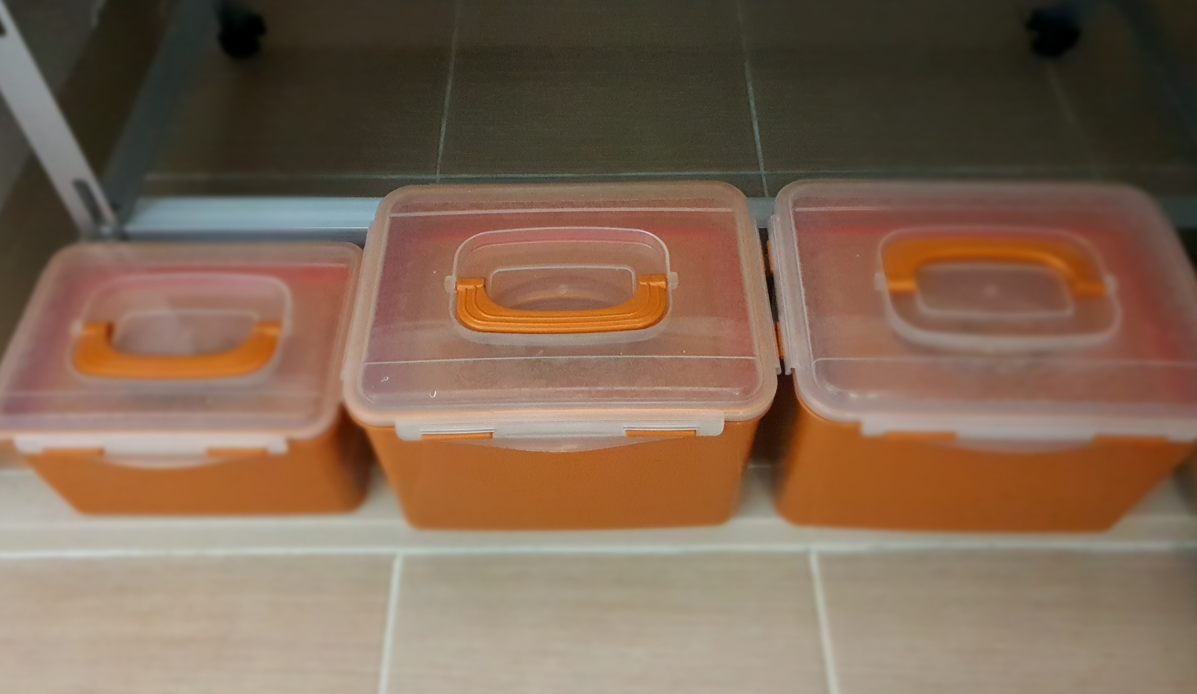 오이지를-실온에-10일-두었다가-냉장-보관-합니다.