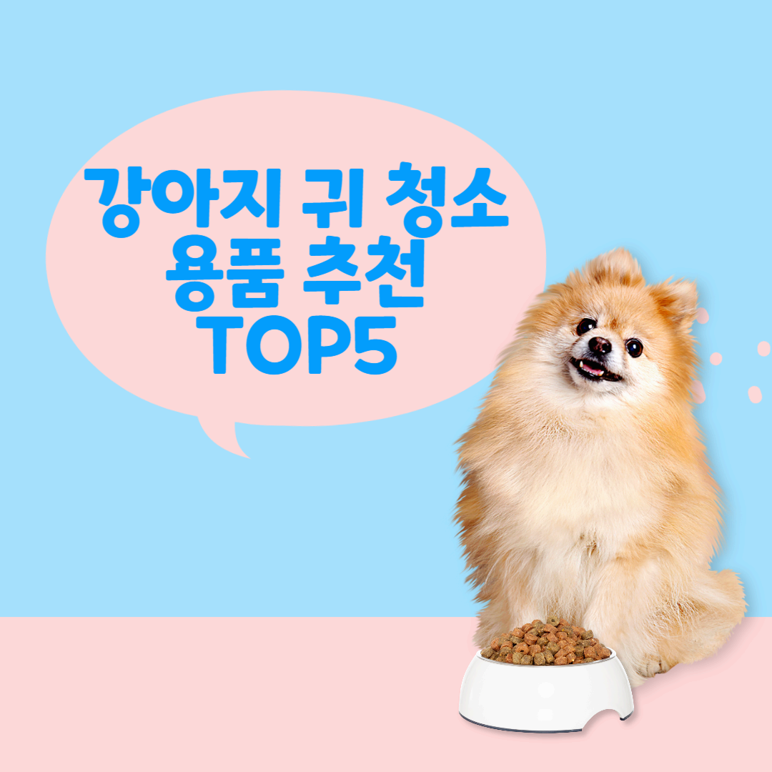 강아지 귀 청소 용품 추천 TOP5
