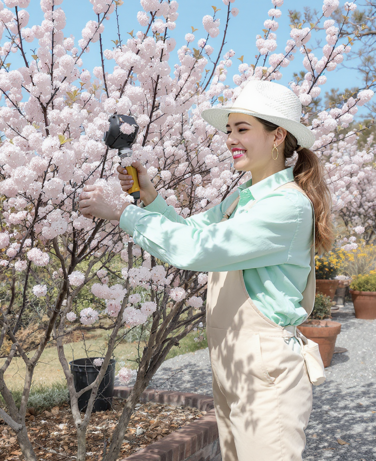 원하는 대로 만드는 수형, 가지치기의 마법