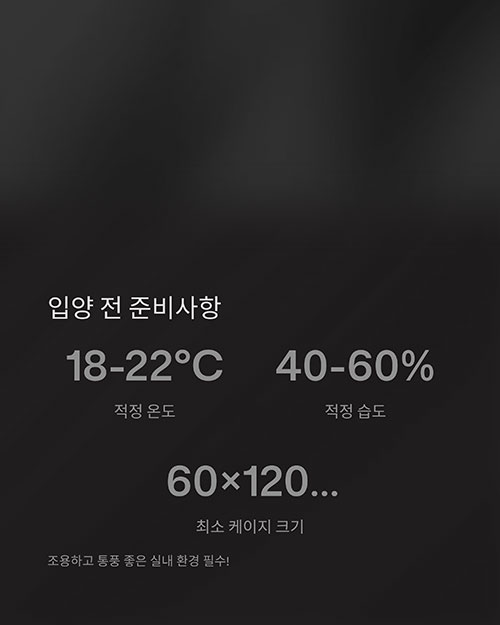 입양 전 준비해야 할 사항