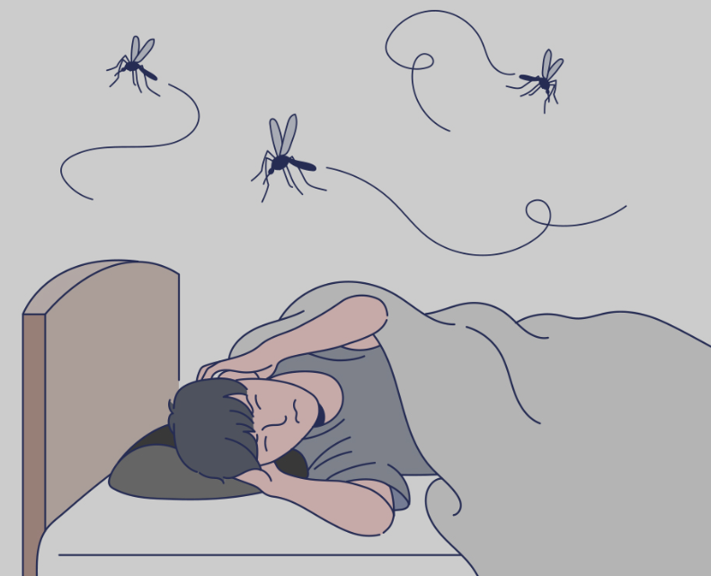 방안 침대위 모기사진 윙윙위