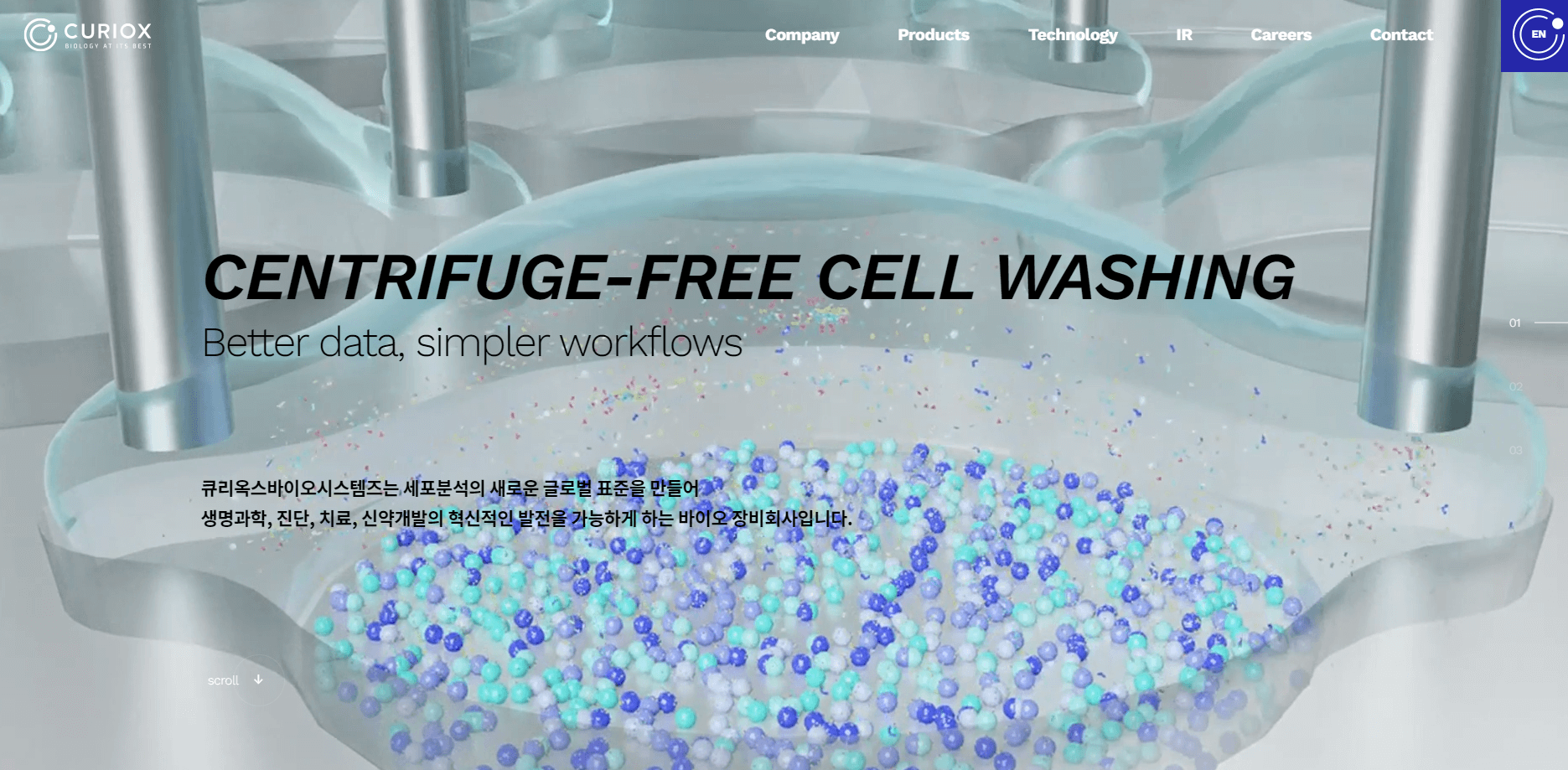8월 공모주 청약일정(추천)