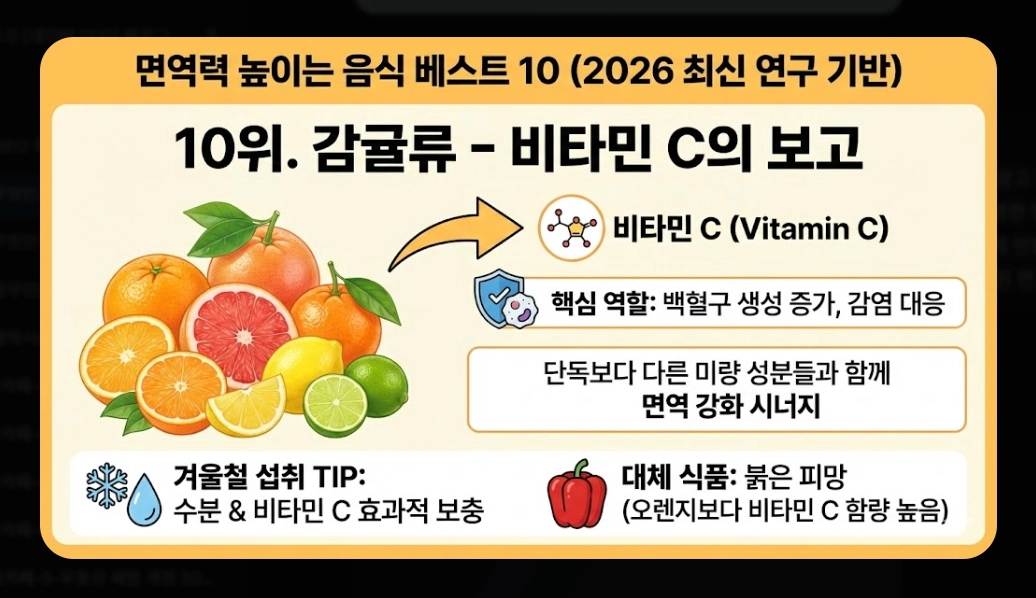 면역력 높이는 음식 베스트 10 [2026년판] 강화 식품 섭취법 및 생활 습관 총정리