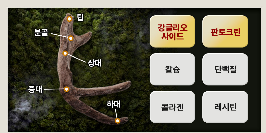 광동 침향환 가격 효능 성분 복용법 부작용