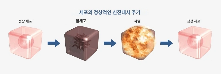 암 치료