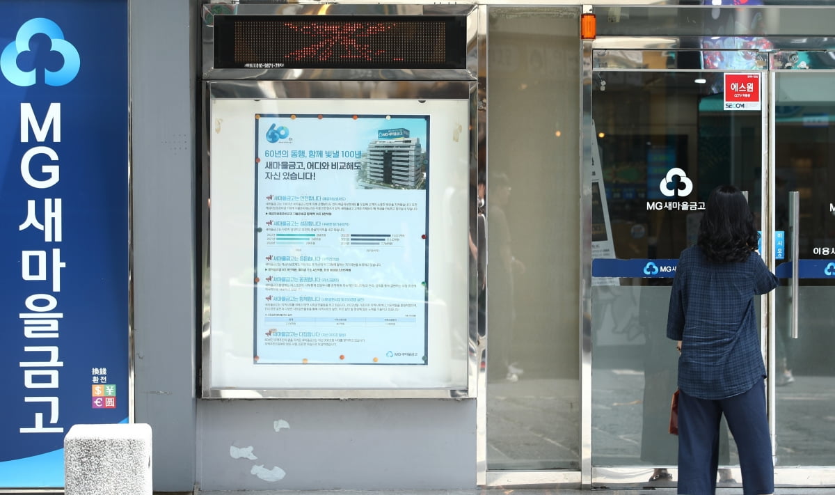 새마을금고 뱅크런