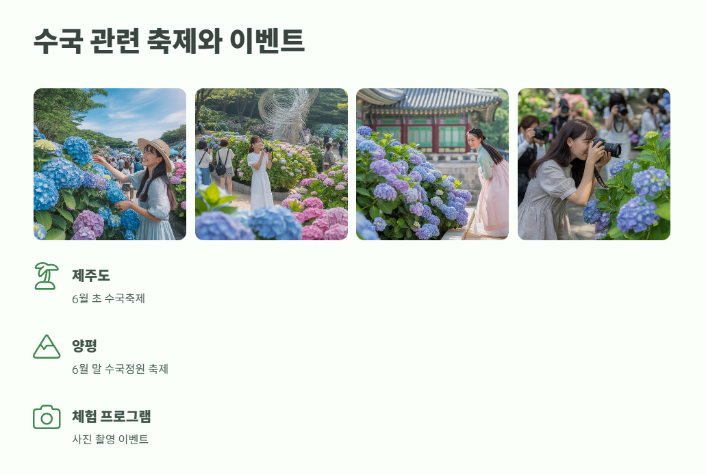 수국 개화시기 완벽 정리 9