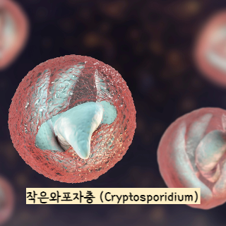 식중독-증상