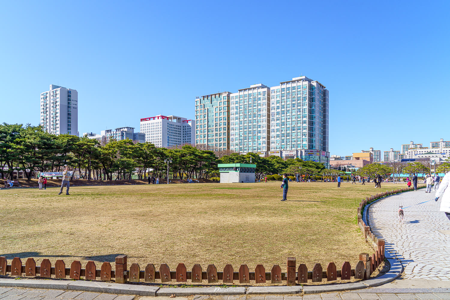 중앙공원 애견운동장