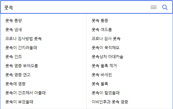 콧속 관련 검색어들