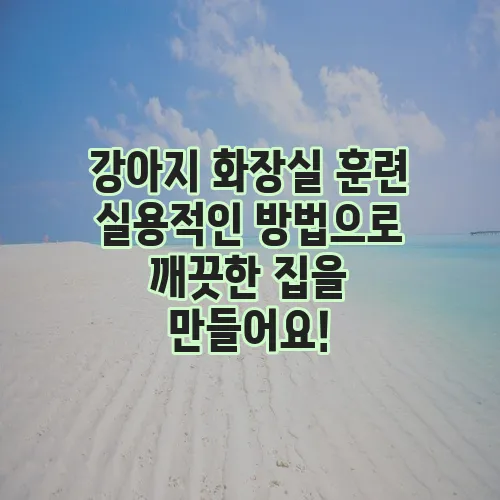 강아지 화장실 훈련 실용적인 방법으로 깨끗한 집을 만들어요!