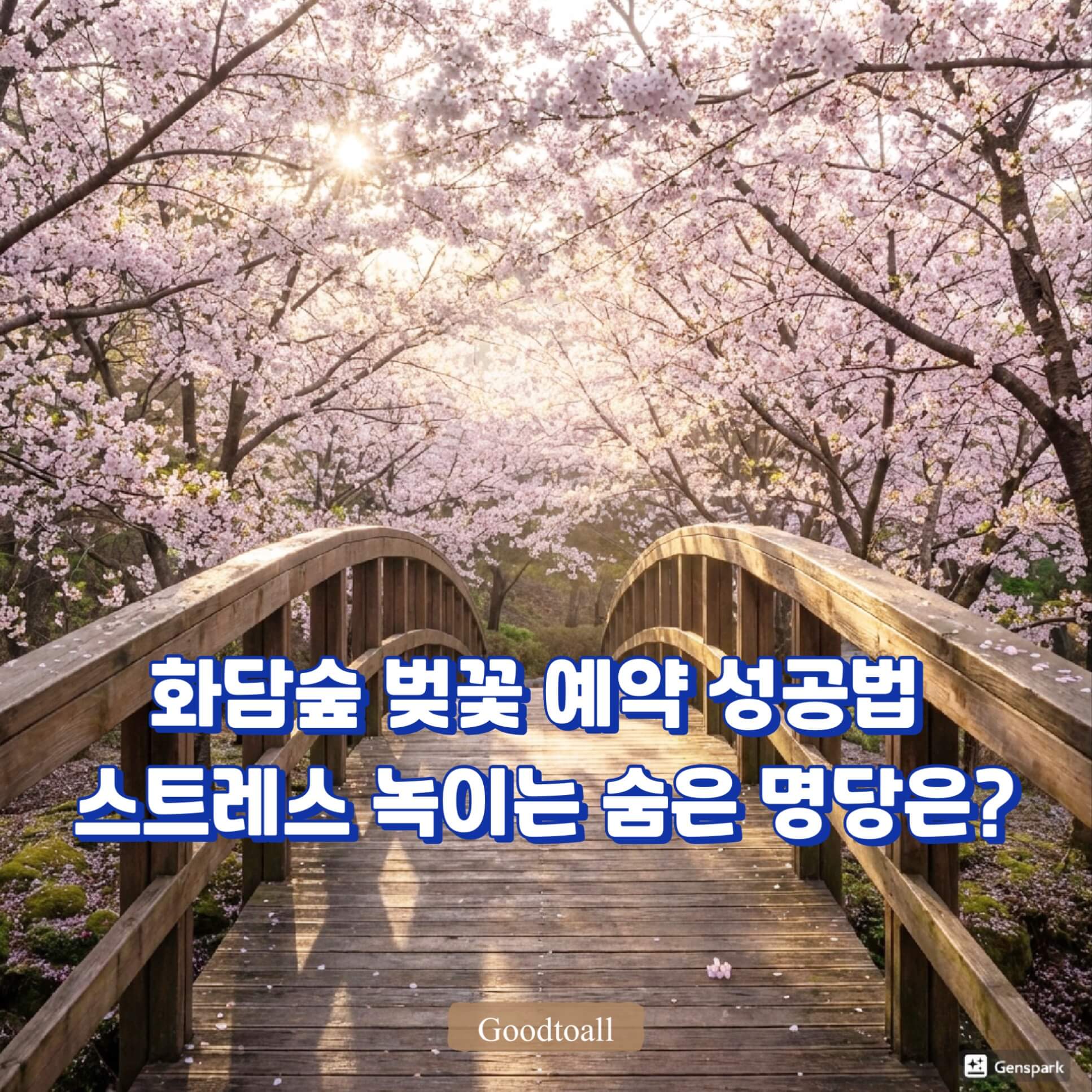 화담숲 벚꽃 시즌, 만개한 벚꽃 터널로 이루어진 약속의 다리 절경을 담은 사실적인 고화질 사진