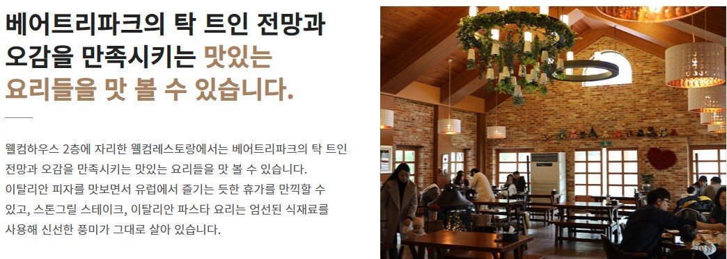 베어트리파크 단풍축제