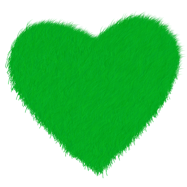 빈집을 ‘로컬 순환 경제’ 거점으로 활용하는 지속 가능 전략