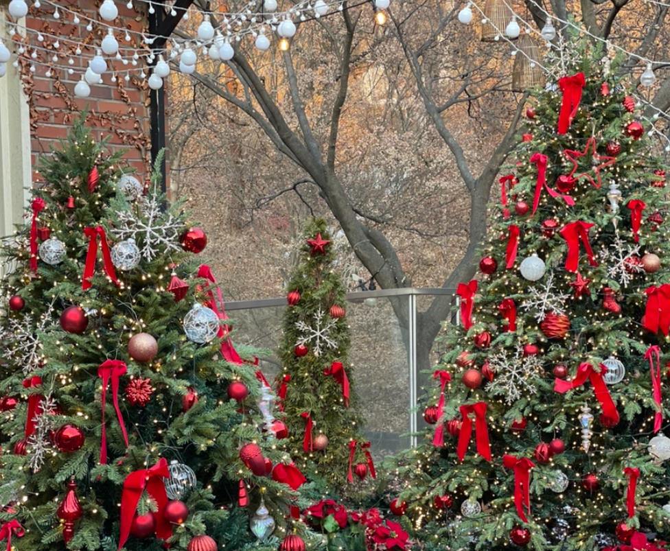 크리스마스/분위기/핫플/카페