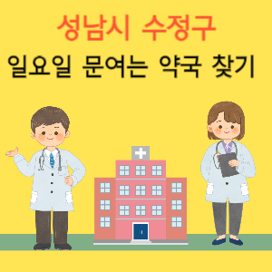 성남시 수정구 일요일 문여는 약국 찾기