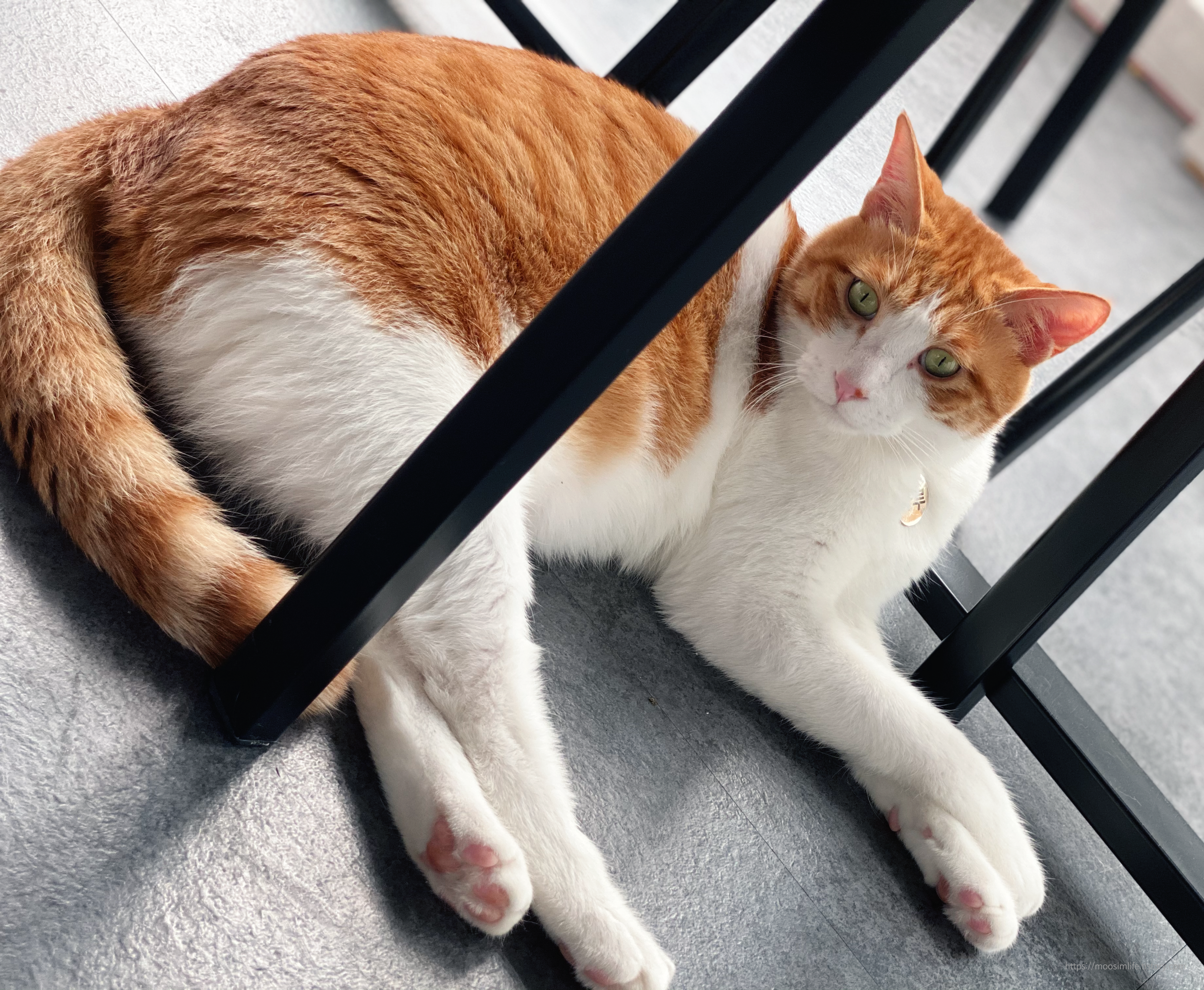 세종 바이올렛 커피 앤 브런치