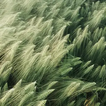 국립농업박물관