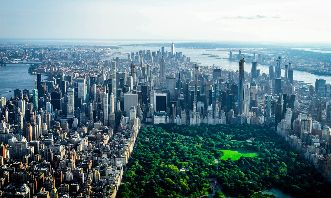 미국 뉴욕