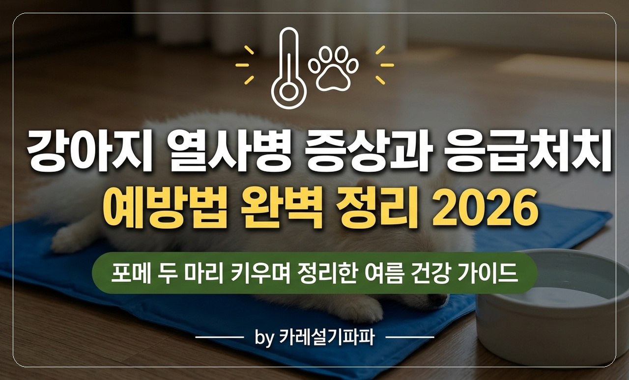 강아지 열사병 완벽 가이드 썸네일