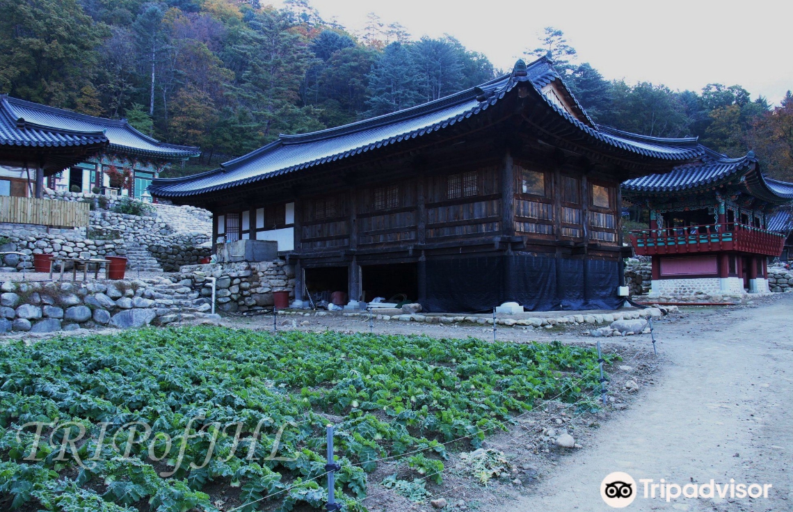 영시암03