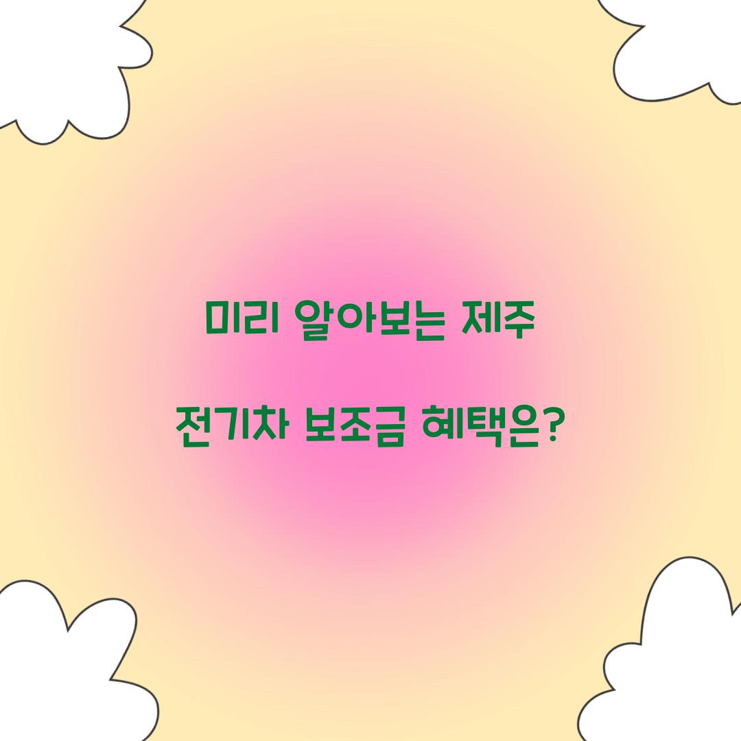 제주 전기차 보조금