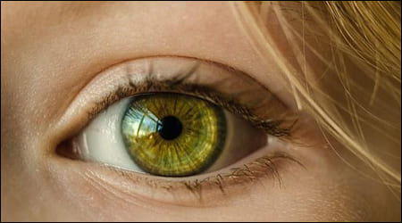 여성의 녹색 눈동자