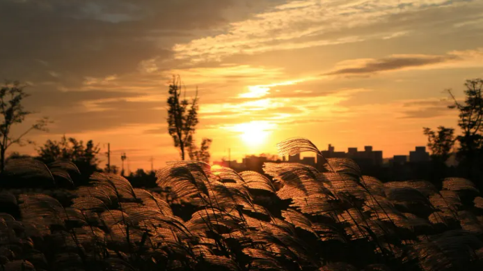 포천 산정호수 명성산 억새꽃축제