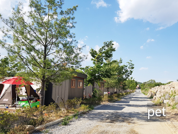 경기-연천-나린오토캠핑장-예약-방법-애견-동반-가격-주소-시간-후기