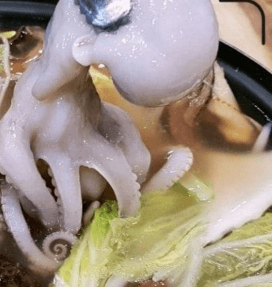 생생 정보통 맛집오늘방송 산낚지볶음